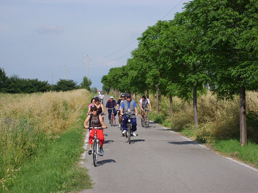ciclovie provincia di Siena mobilità alternativa