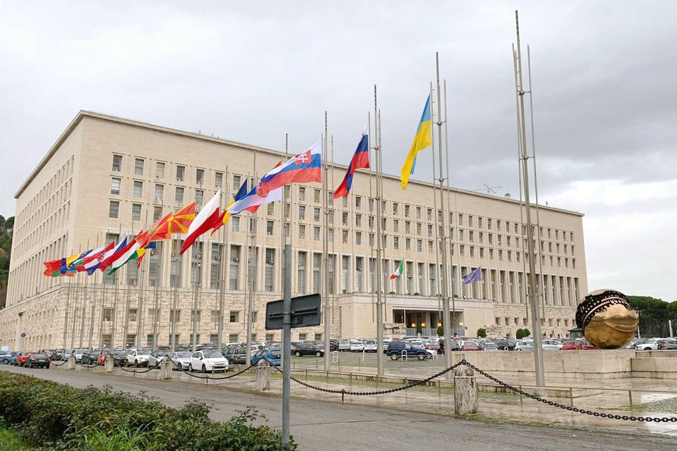 Farnesina Italiana