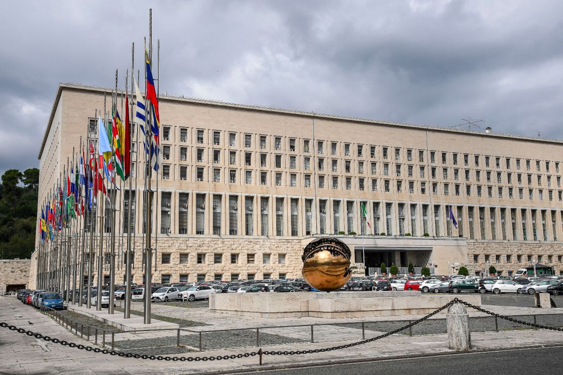 spionaggio Farnesina